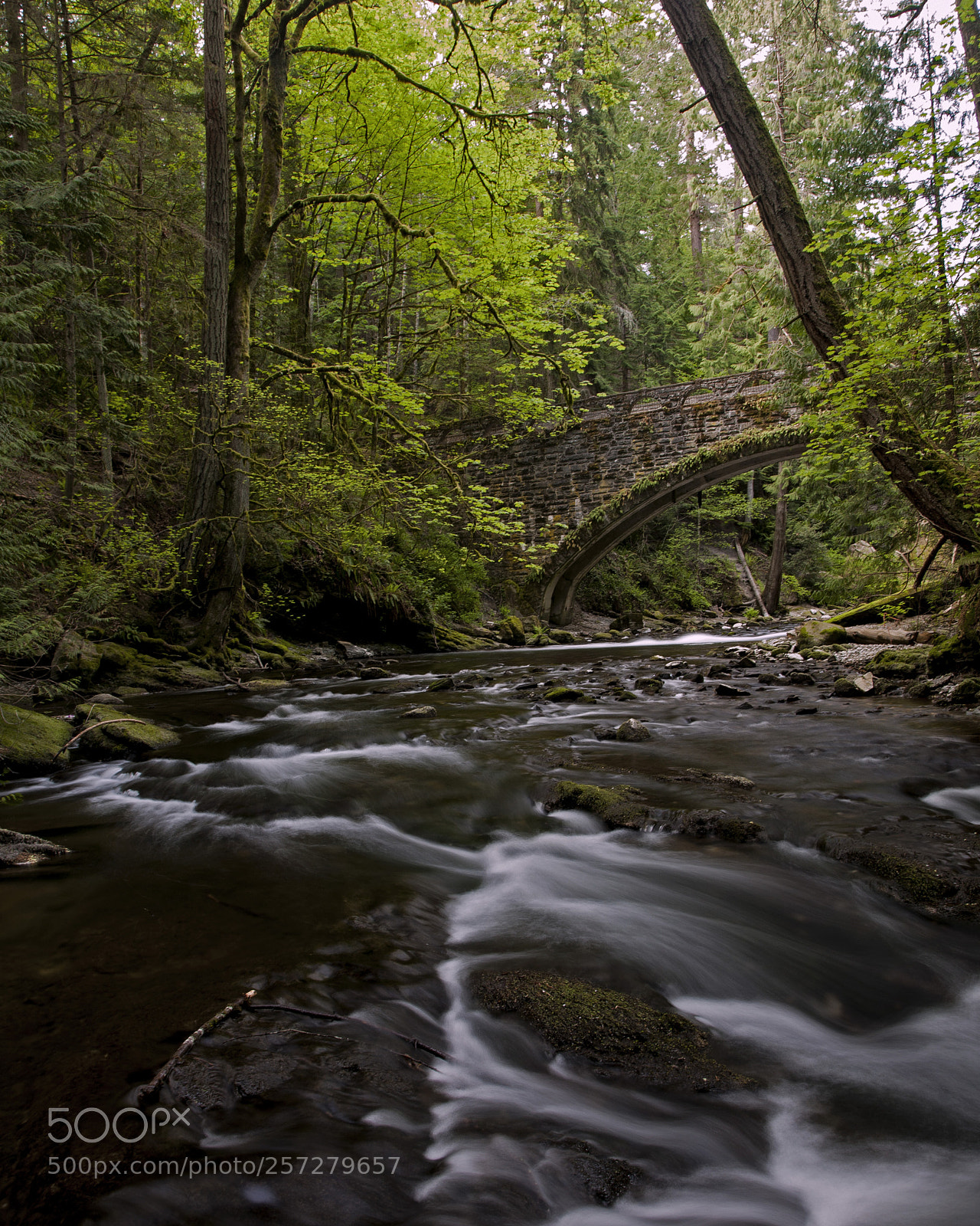 Canon EOS 5D sample photo. Whatcom falls bridge photography