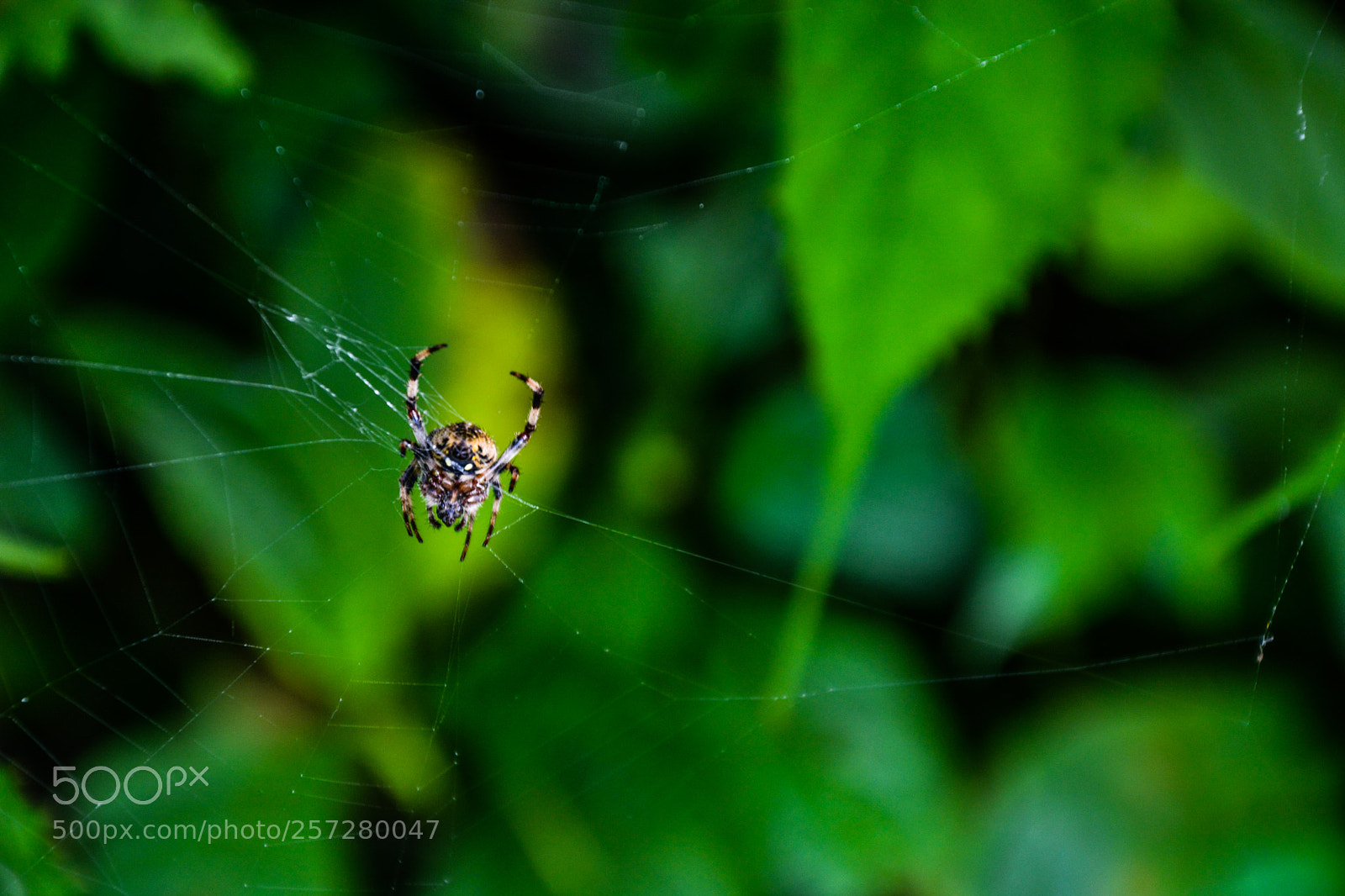 Nikon D7100 sample photo. Untitled photography