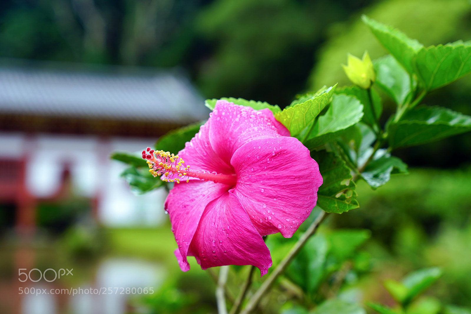 Sony a9 sample photo. Just when you thought photography