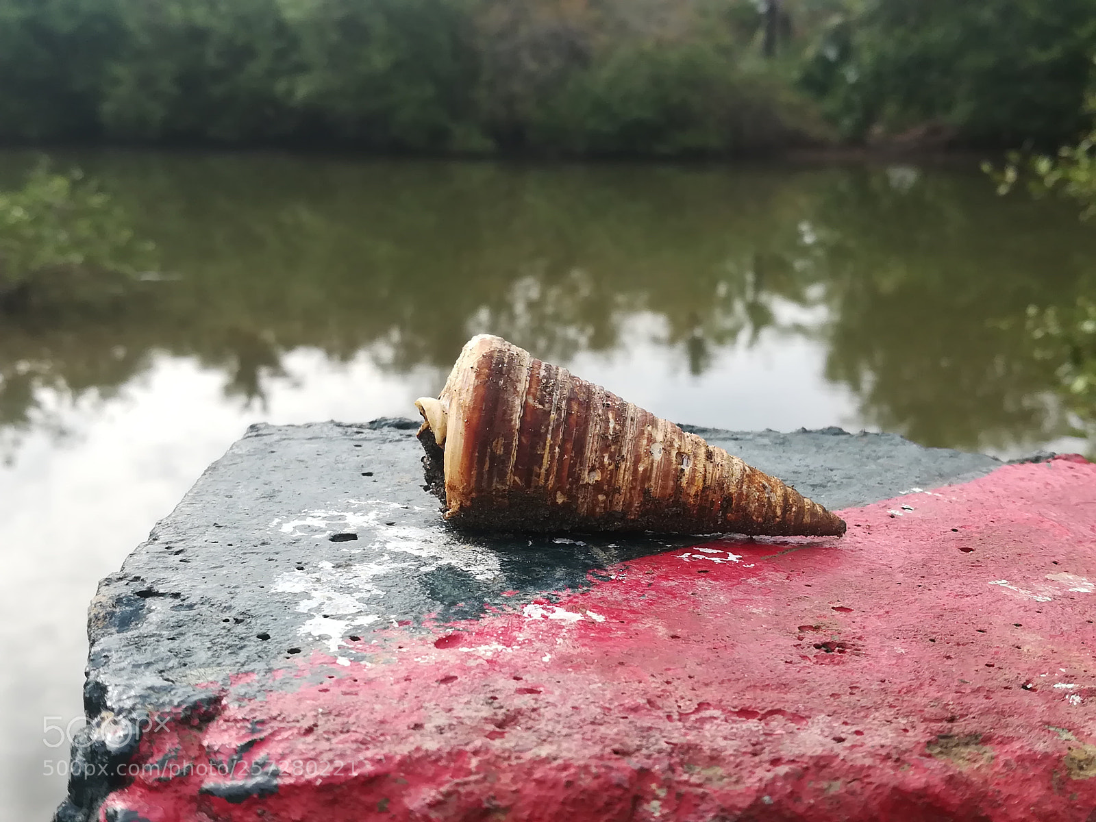 HUAWEI honor 6x sample photo. Out of water photography