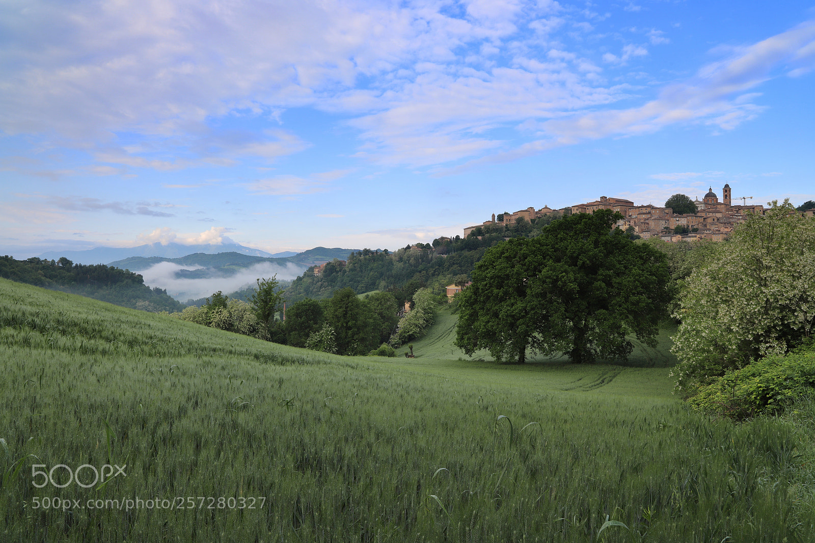 Canon EOS 6D Mark II sample photo. May morning photography