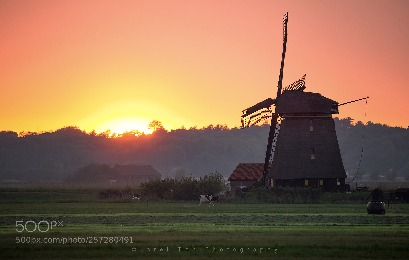 Canon EOS 6D sample photo. Bosmolen, egmond aan den photography