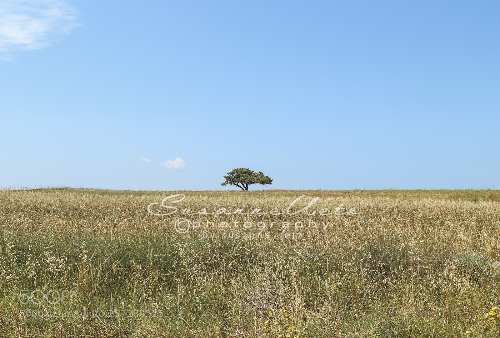 Canon EOS M10 sample photo. On point photography