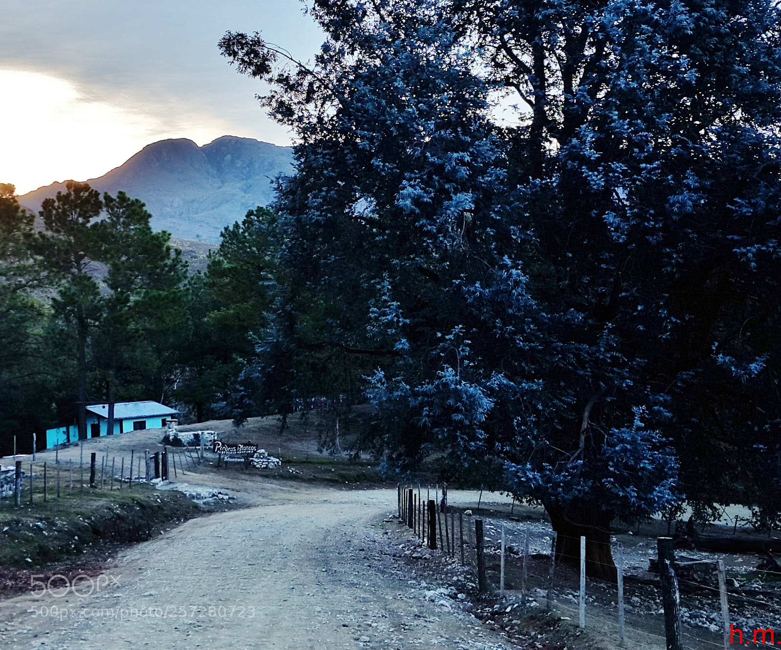 Samsung Galaxy S5 sample photo. Caeffb o photography