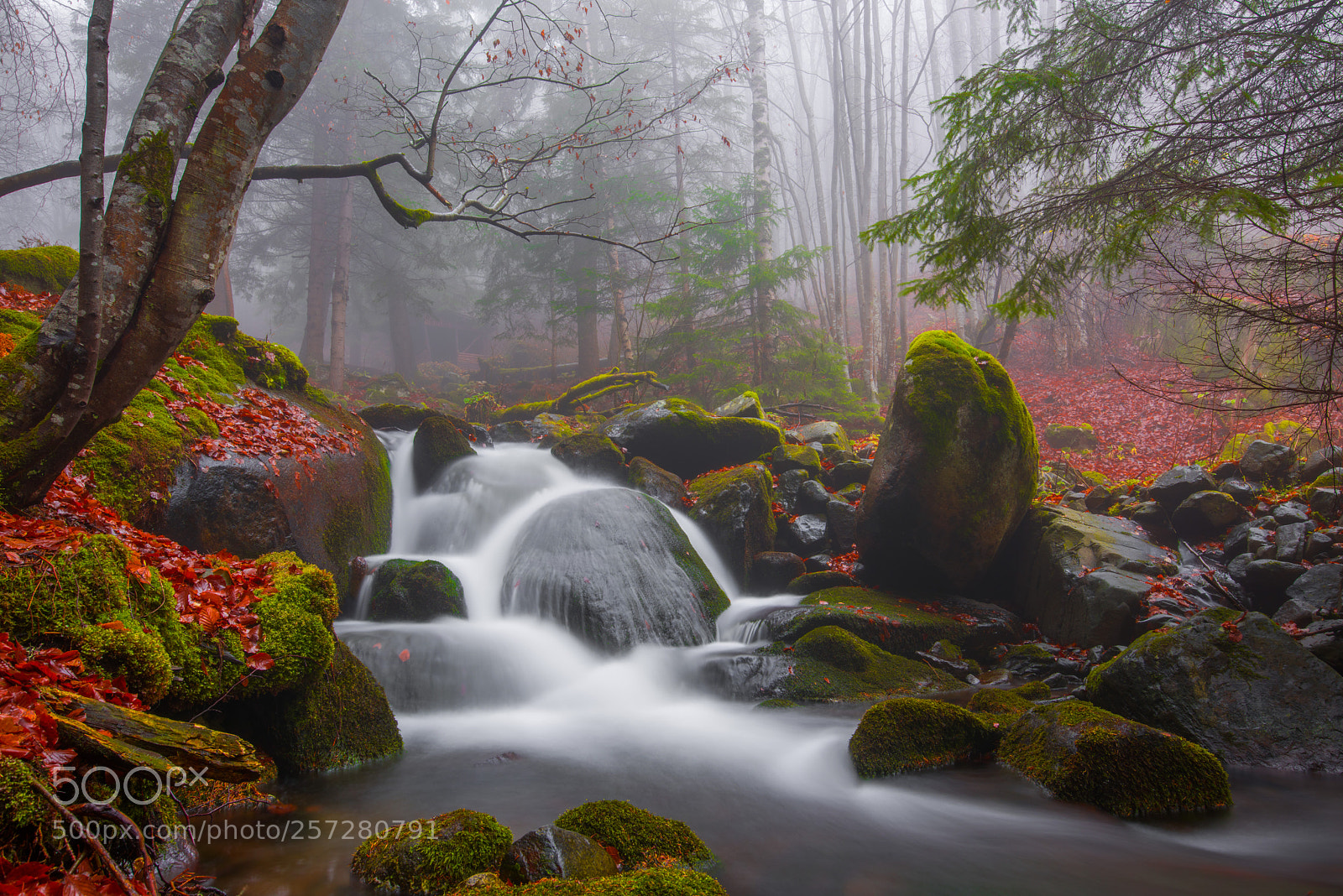 Nikon D810 sample photo. Magical waterfall photography