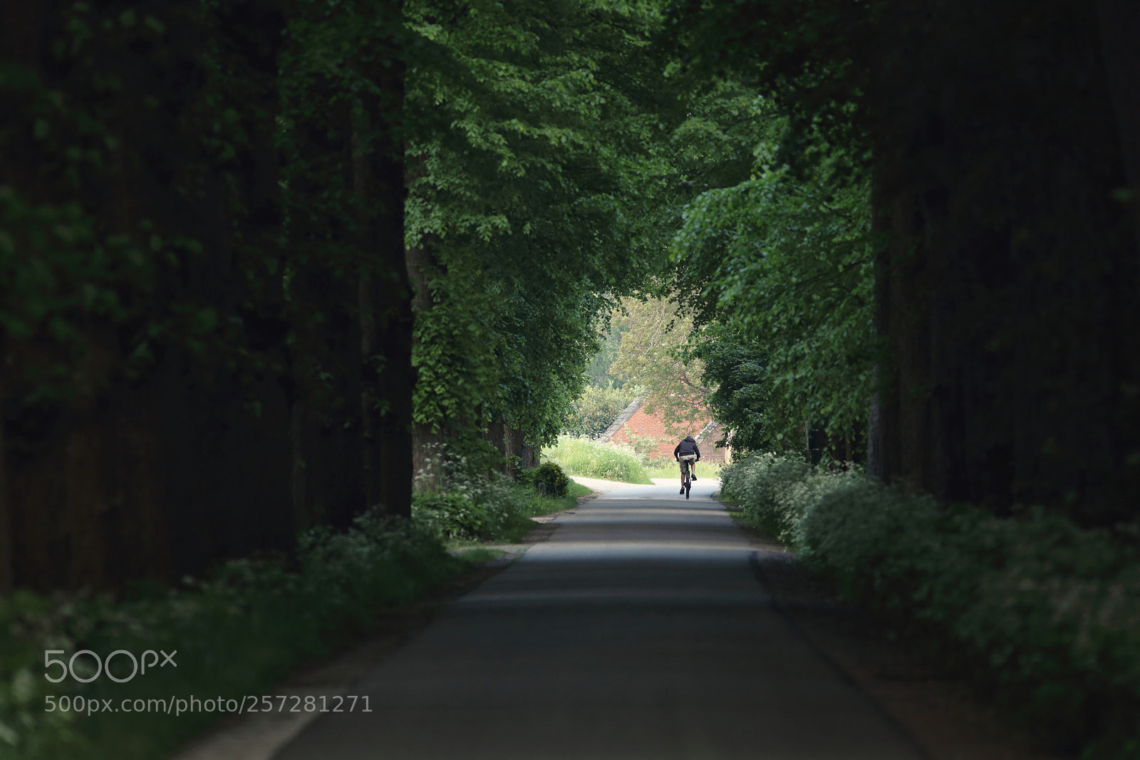 Canon EOS 6D sample photo. Oijen photography
