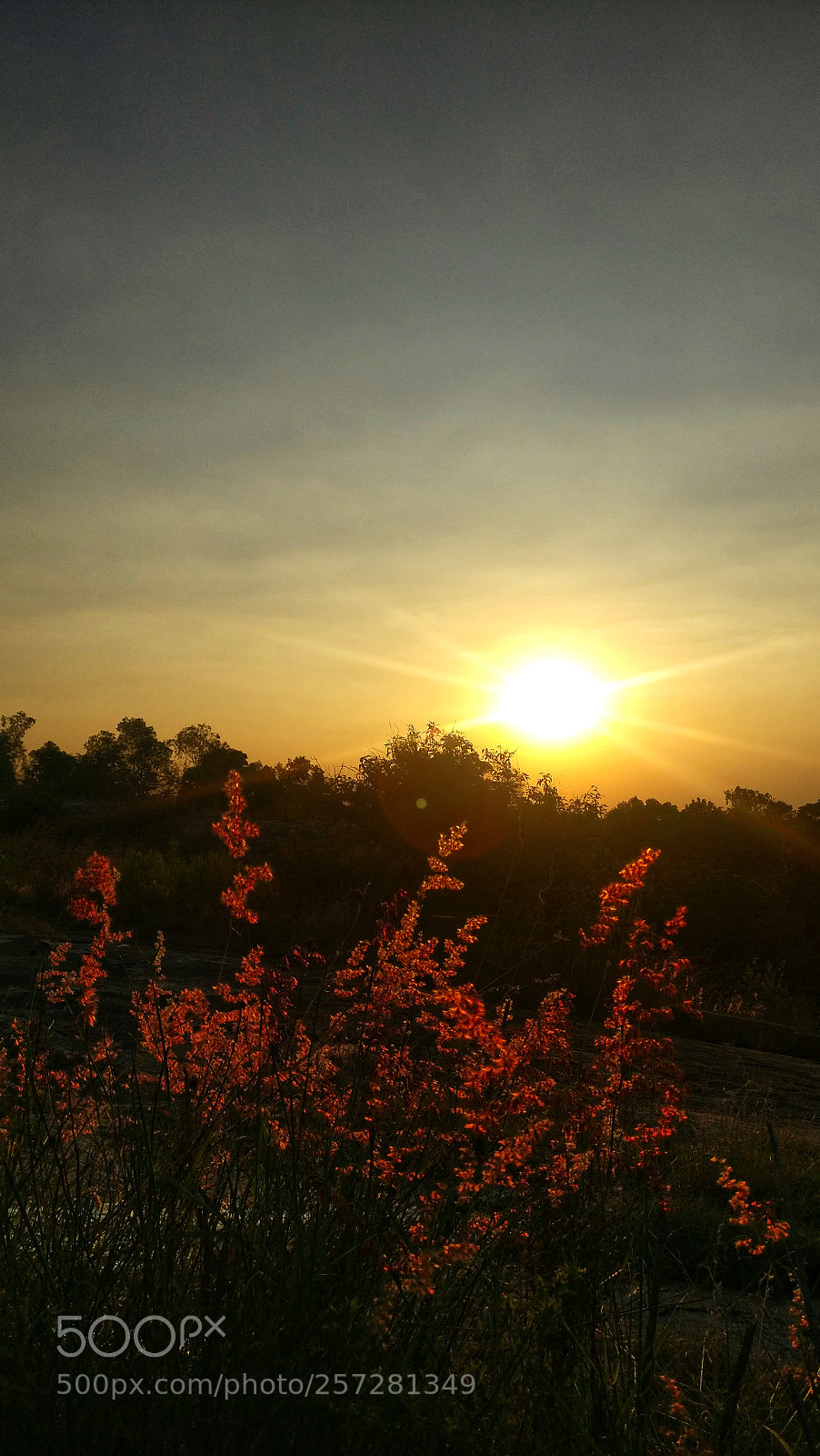 OnePlus A3003 sample photo. Sunset photography