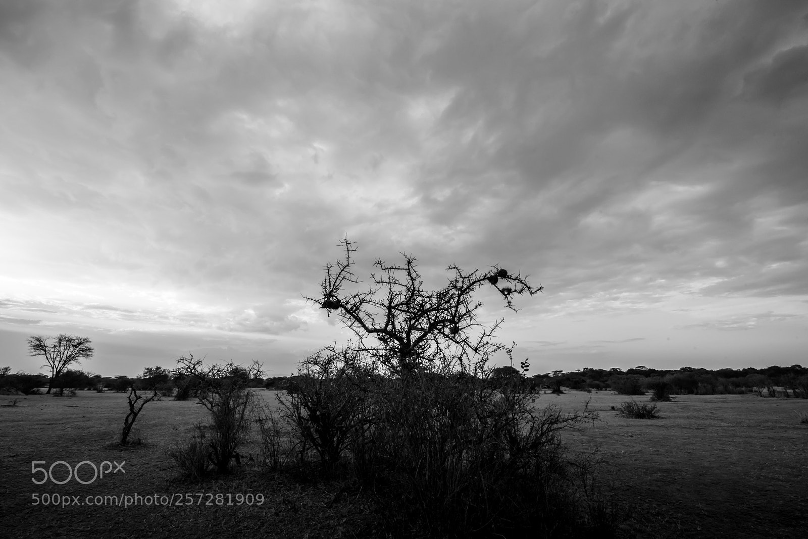 Nikon D750 sample photo. Falling sky photography