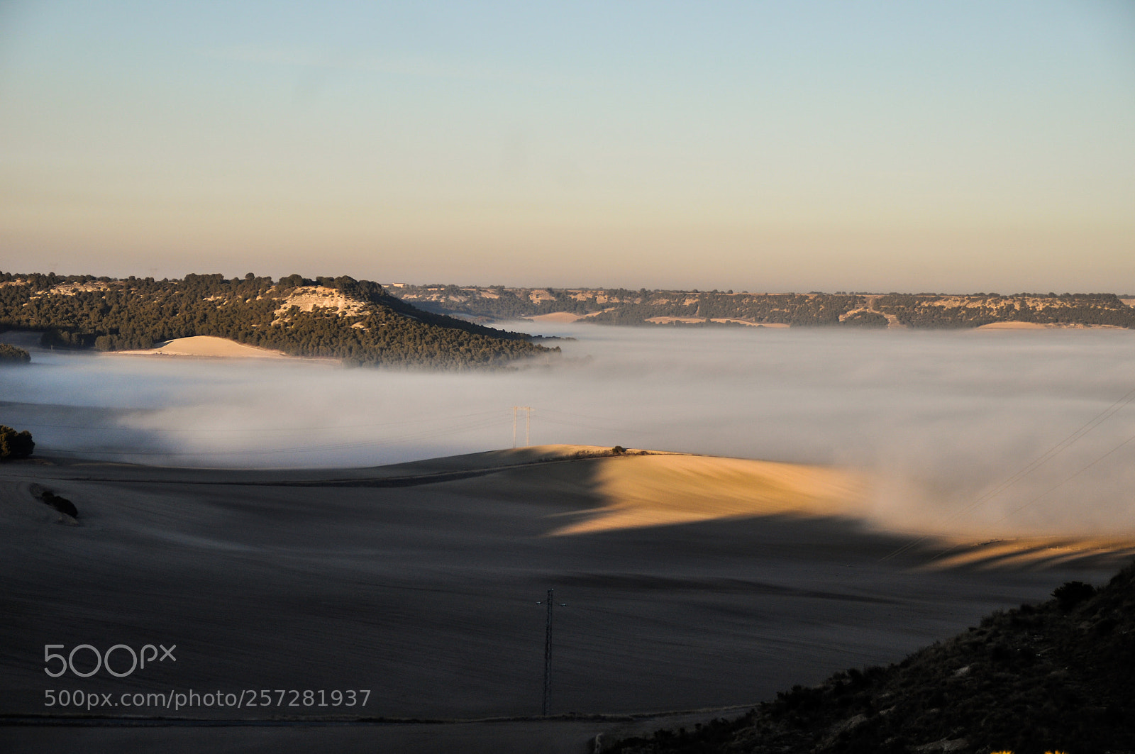 Nikon D5000 sample photo. Mists photography