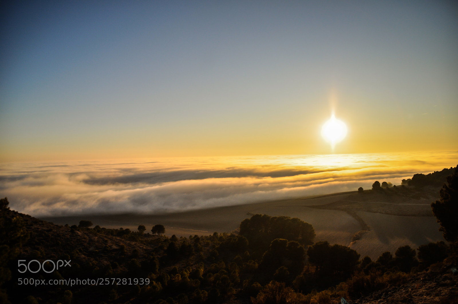 Nikon D5000 sample photo. Mists photography