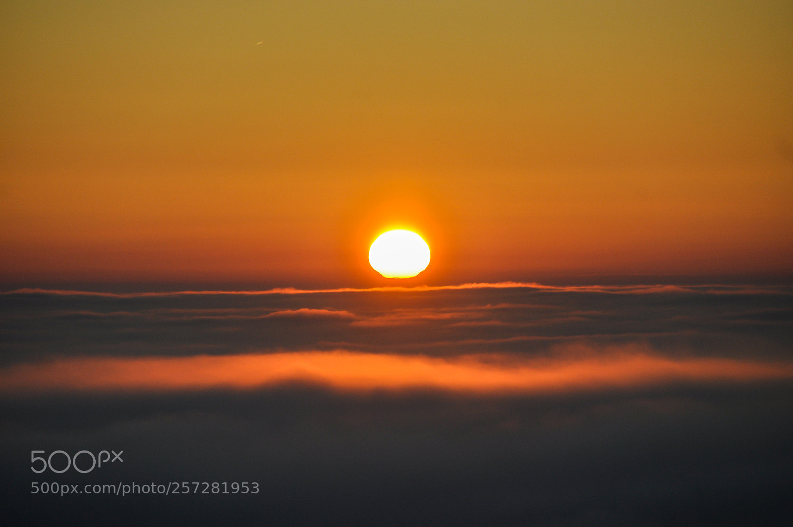 Nikon D5000 sample photo. Mists photography