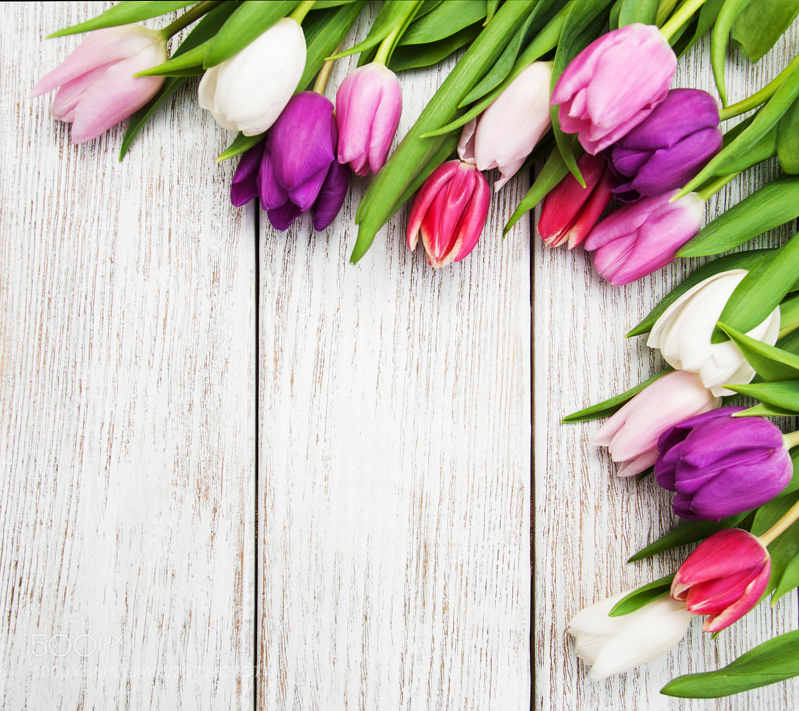 Nikon D90 sample photo. Spring tulip flowers photography