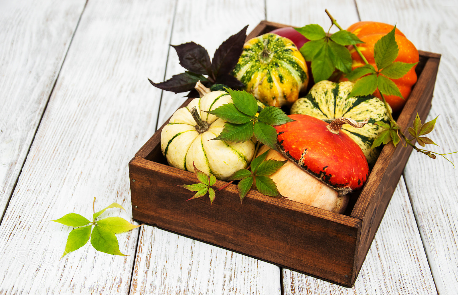 Nikon D90 sample photo. Box with pumpkins photography