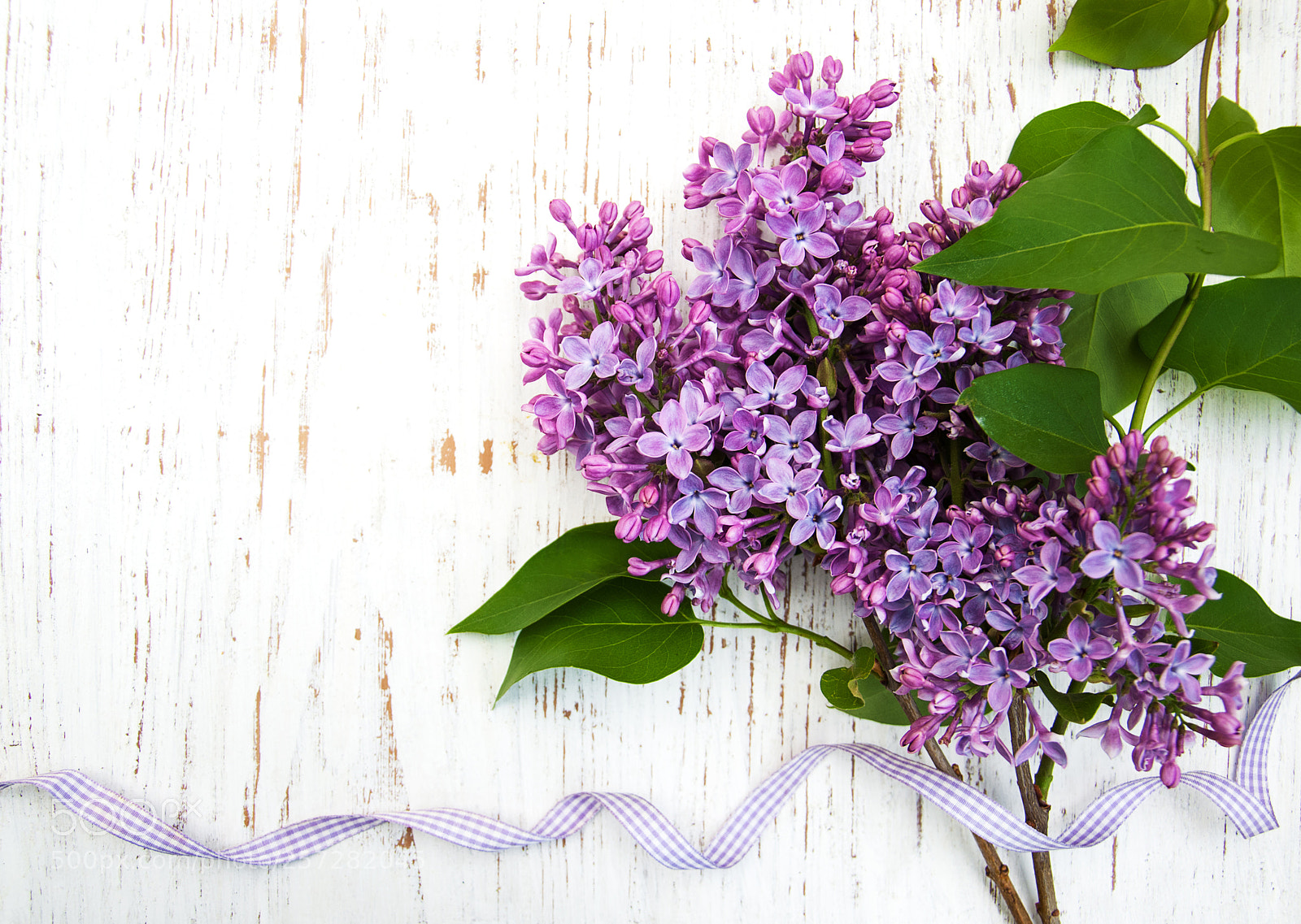 Nikon D90 sample photo. Lilac flowers photography
