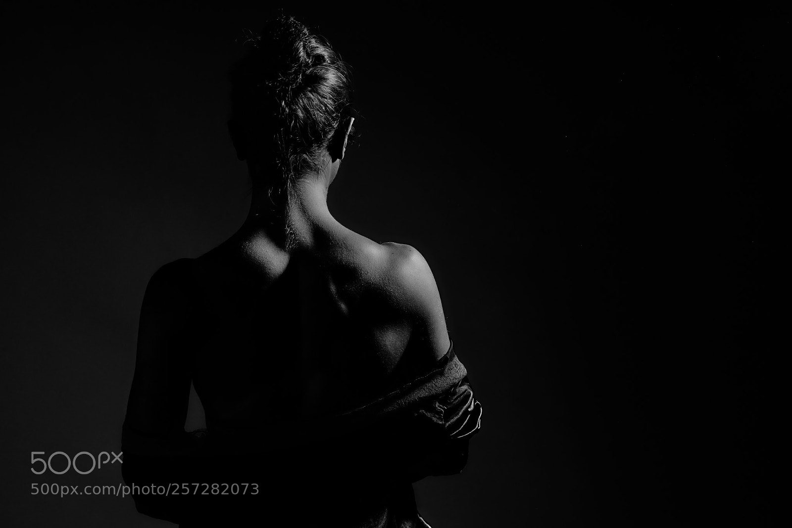 Nikon D750 sample photo. Going to the opera photography