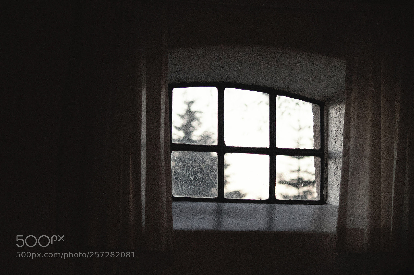 Canon EOS 750D (EOS Rebel T6i / EOS Kiss X8i) sample photo. Morning in the countryside photography