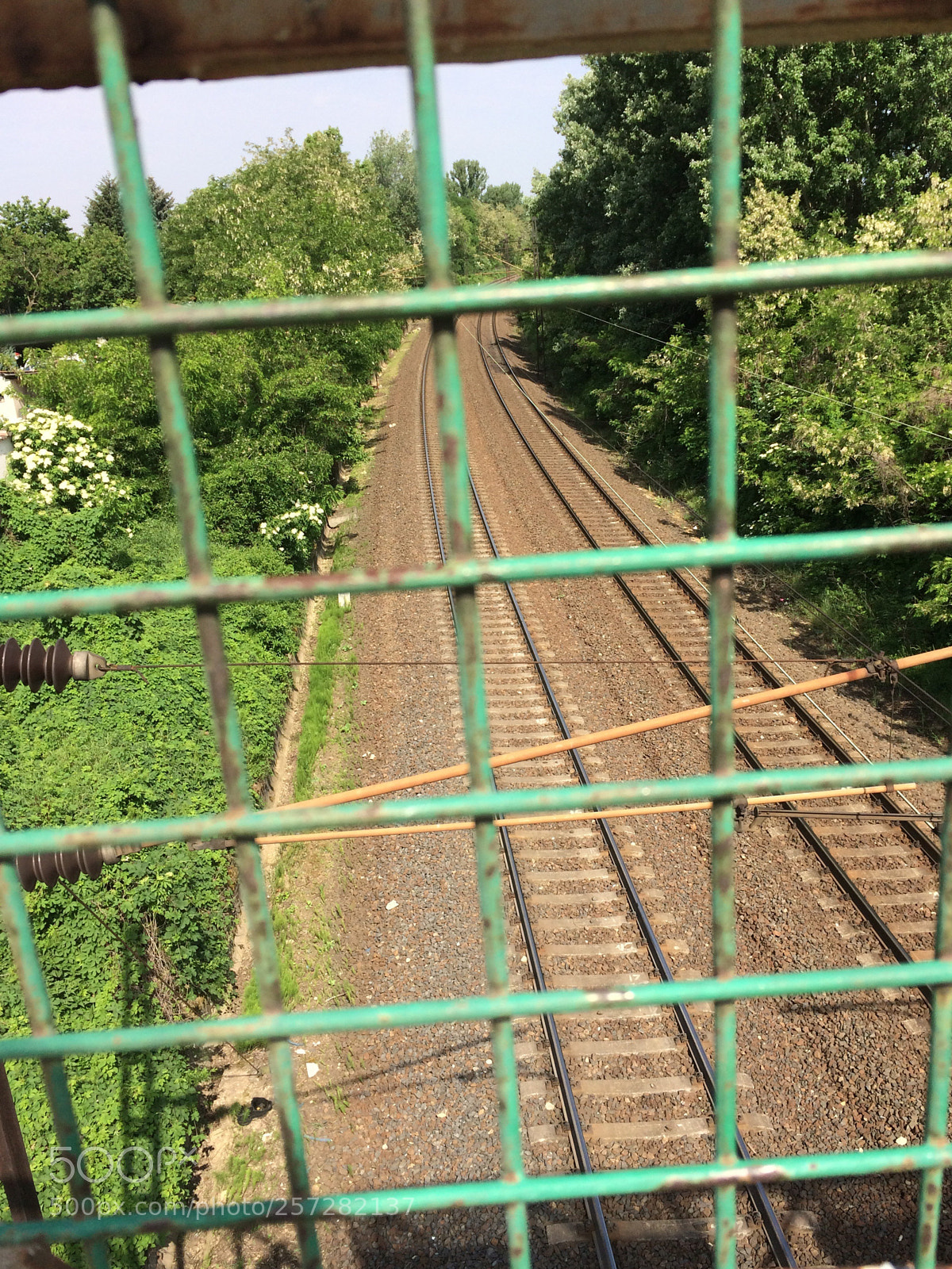 Apple iPhone 5s sample photo. Untitled photography