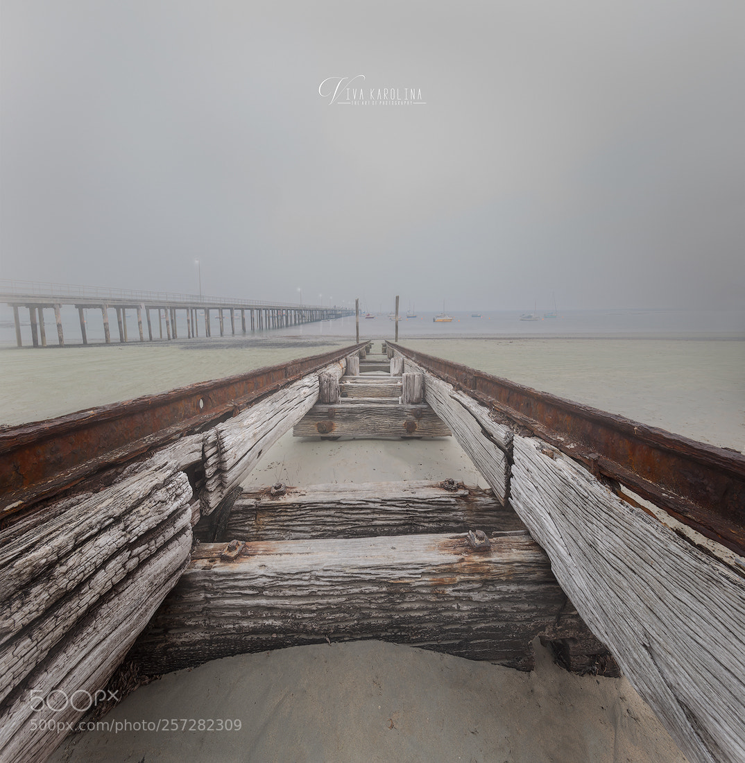 Canon EOS 6D sample photo. Misty way photography