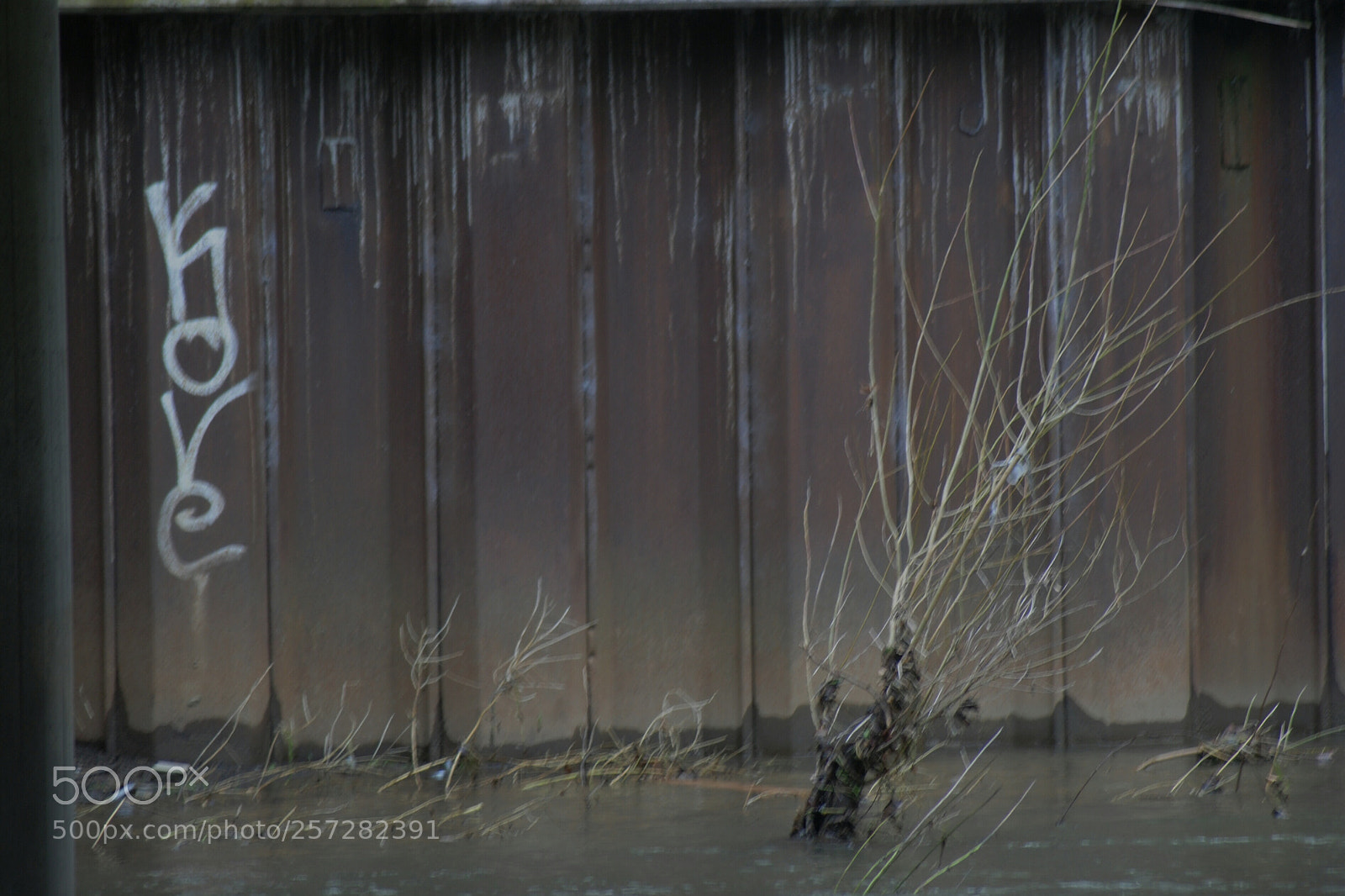 Nikon D3000 sample photo. Untitled photography