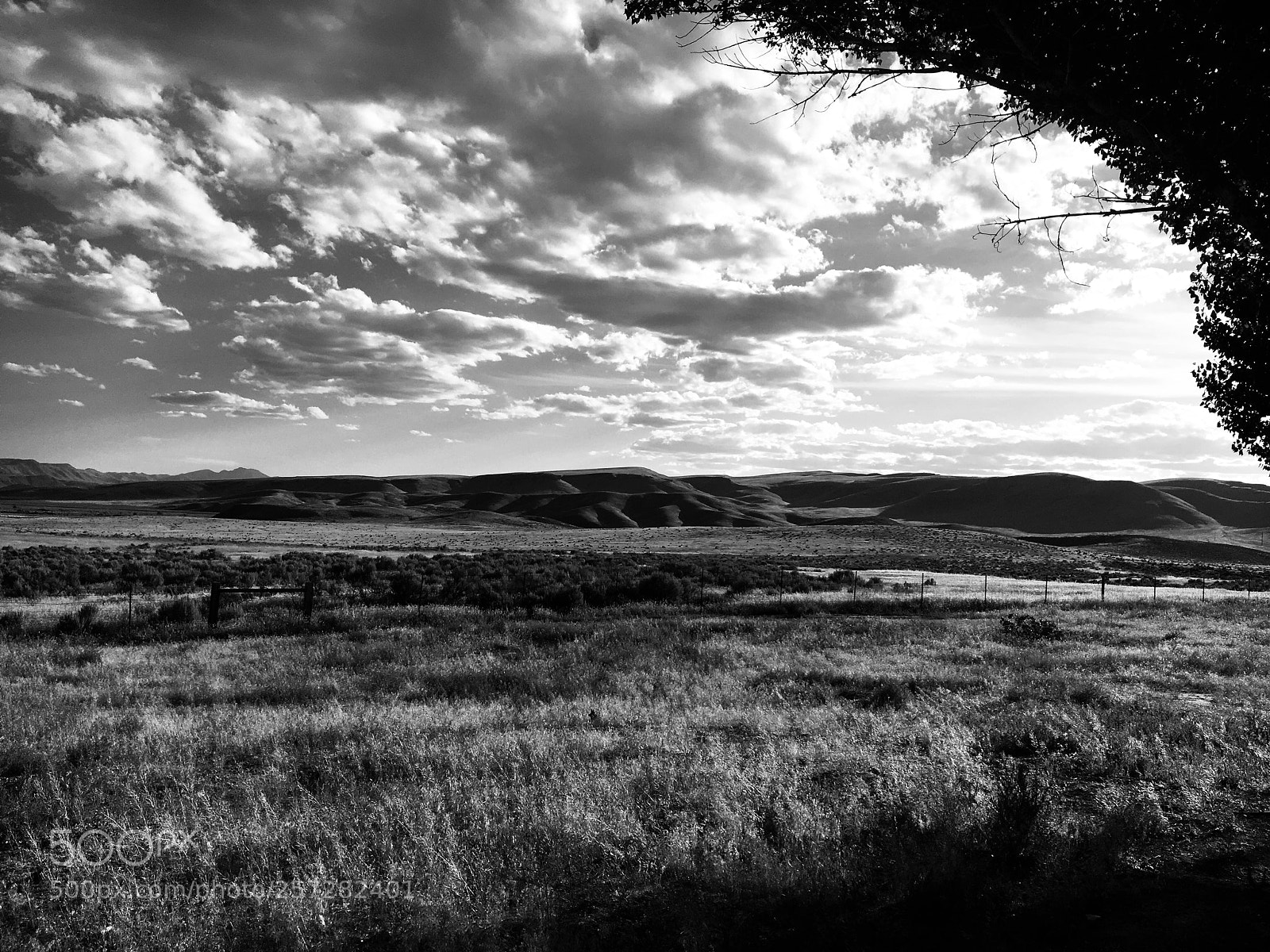 Apple iPhone 6s sample photo. Nevada grassland photography