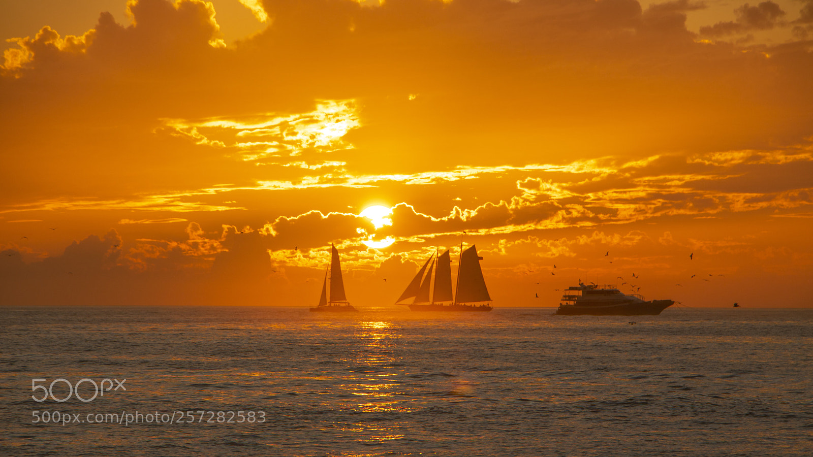 Canon EOS 760D (EOS Rebel T6s / EOS 8000D) sample photo. Key west photography
