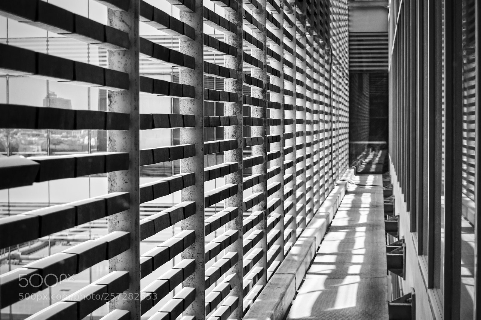 Nikon D7100 sample photo. Perspective photography