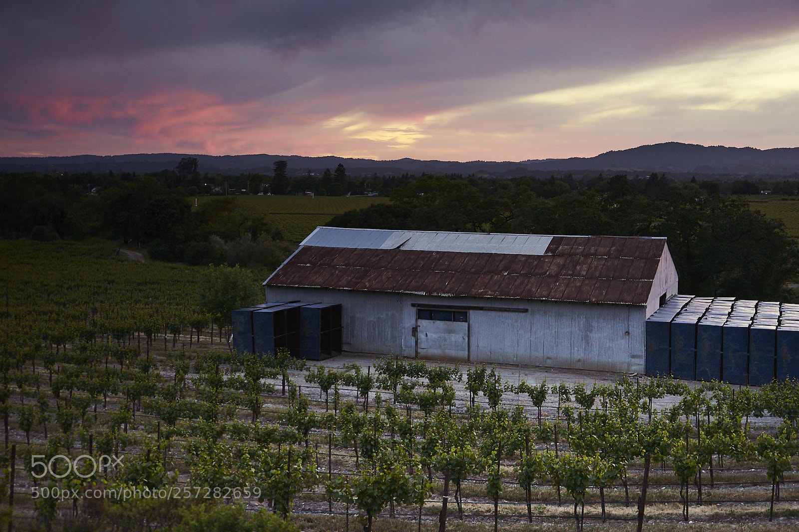 Sony a7 II sample photo. The rusty roof photography