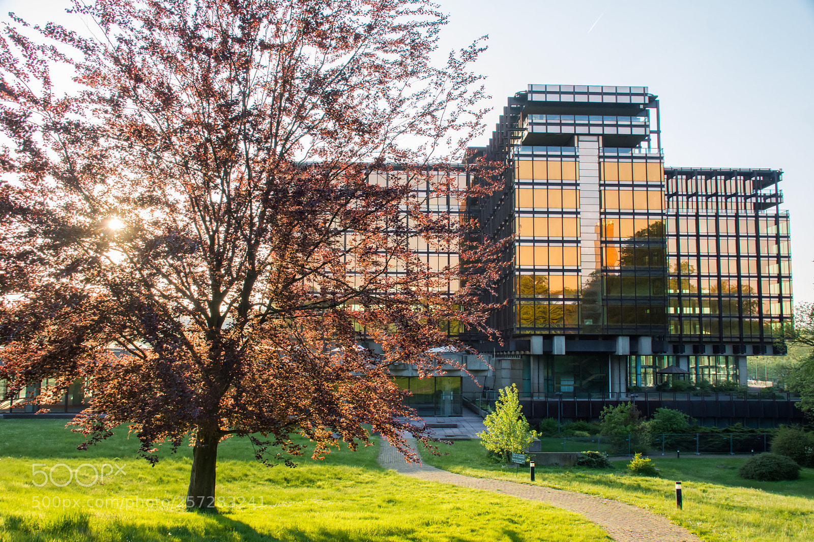 Nikon D5200 sample photo. Old axa building. photography