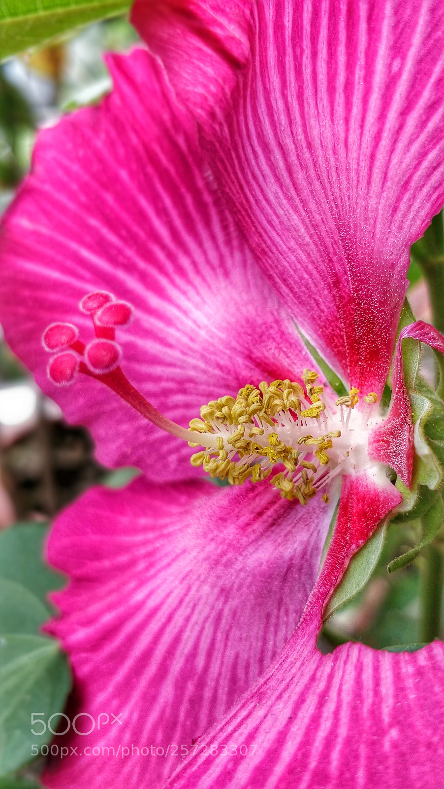 OnePlus 5T sample photo. Untitled photography