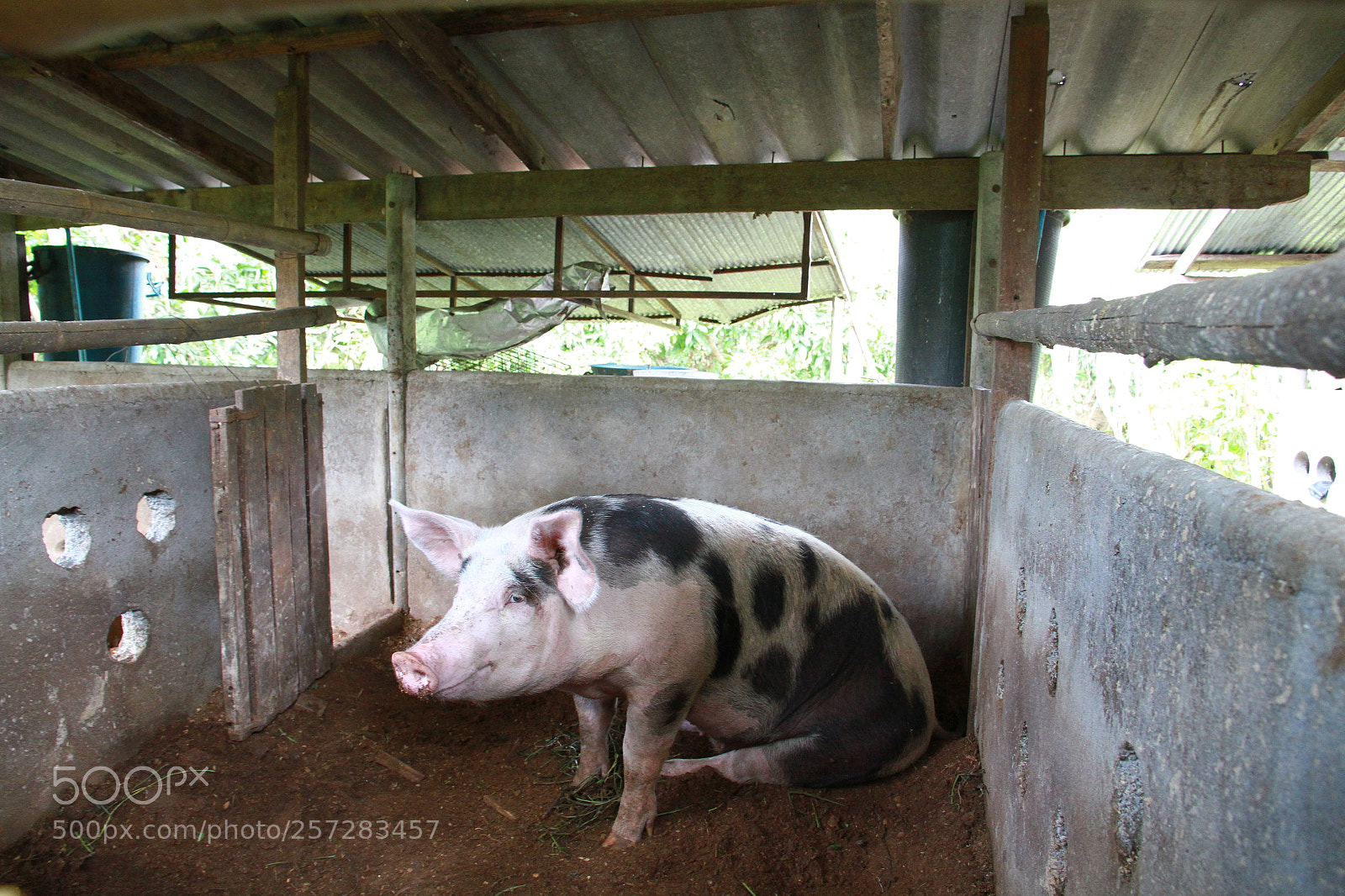 Canon EOS 7D sample photo. Img photography