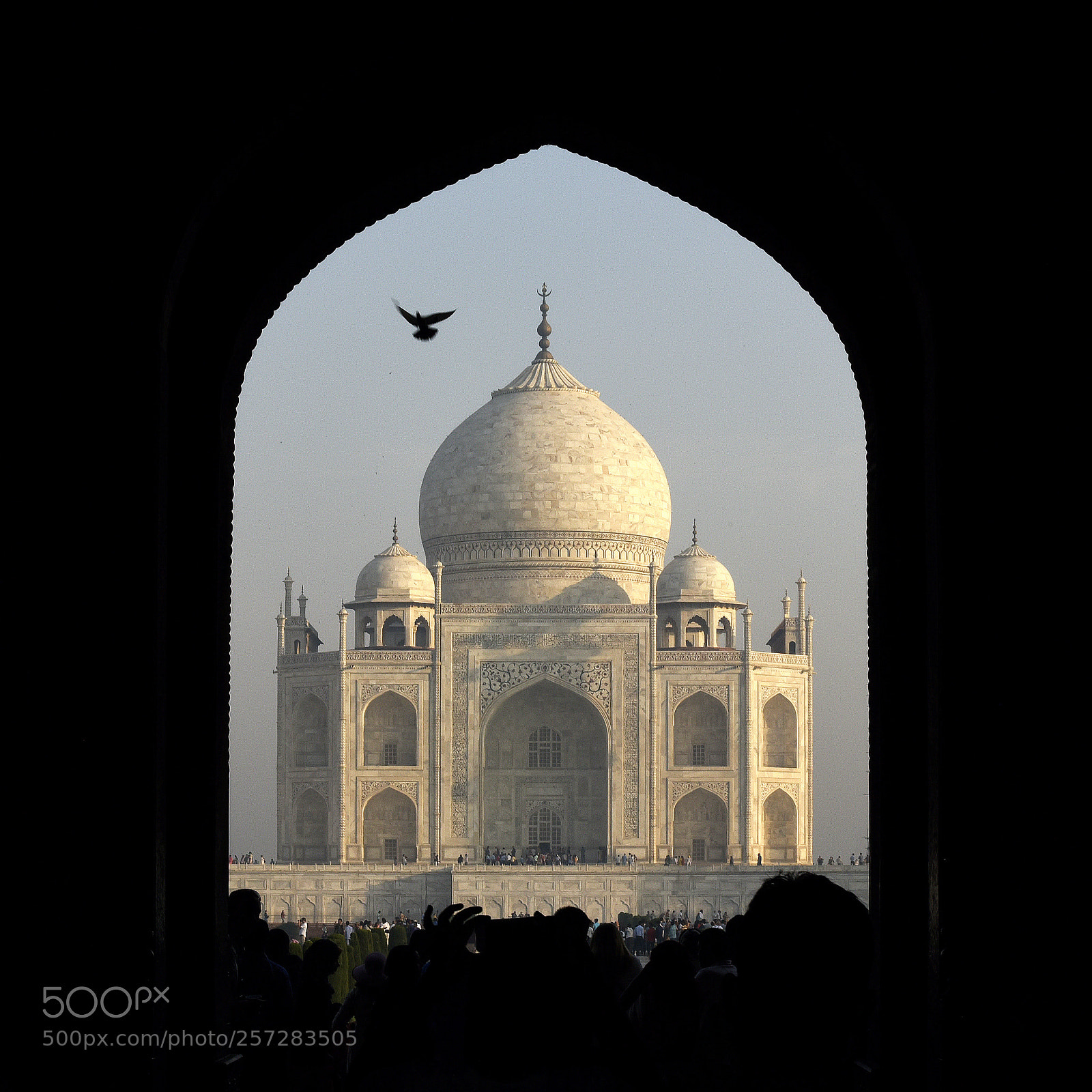Nikon D750 sample photo. Taj mahal photography