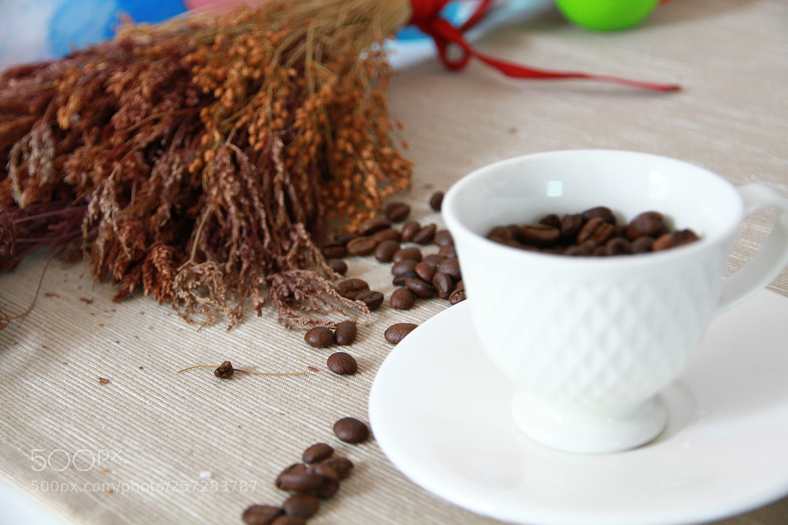 Canon EOS 7D sample photo. Img photography