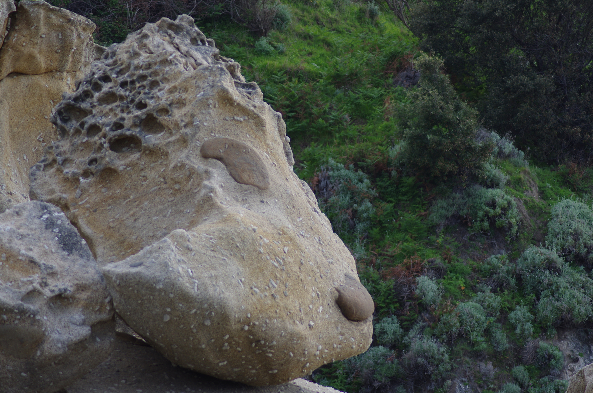 Tamron AF 70-300mm F4-5.6 LD Macro 1:2 sample photo. Little dog rock photography