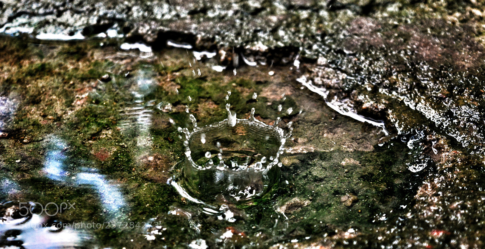 Nikon D5200 sample photo. And, it rained photography