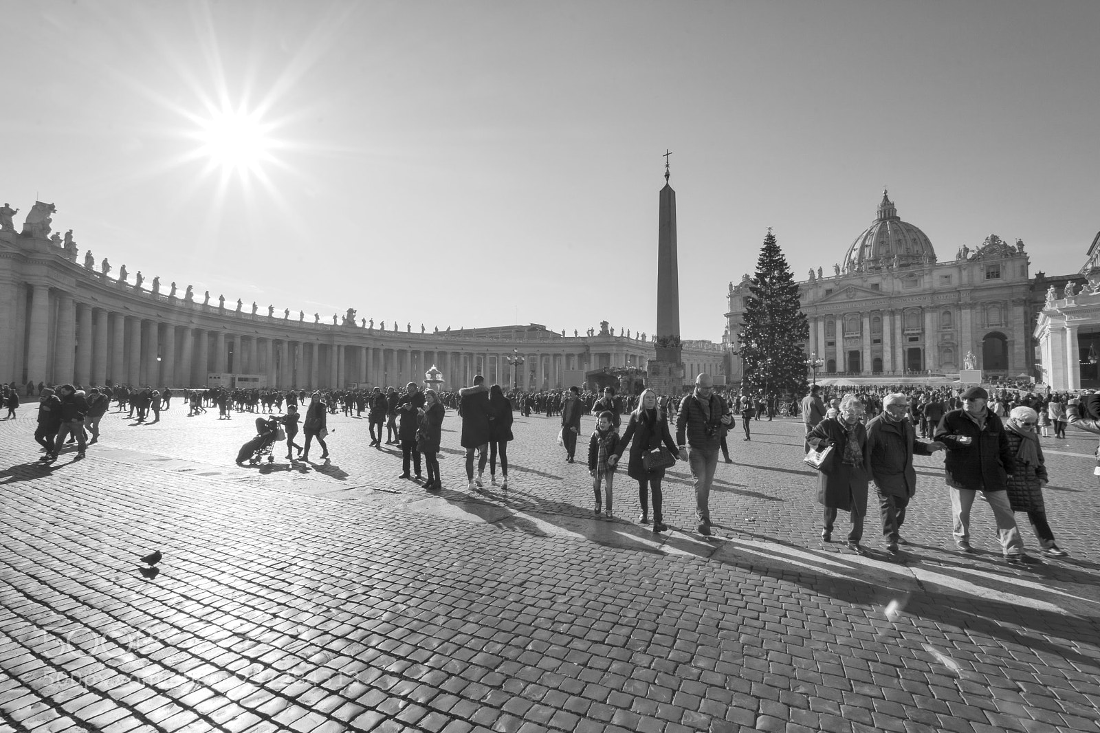Nikon D7100 sample photo. Vatican photography