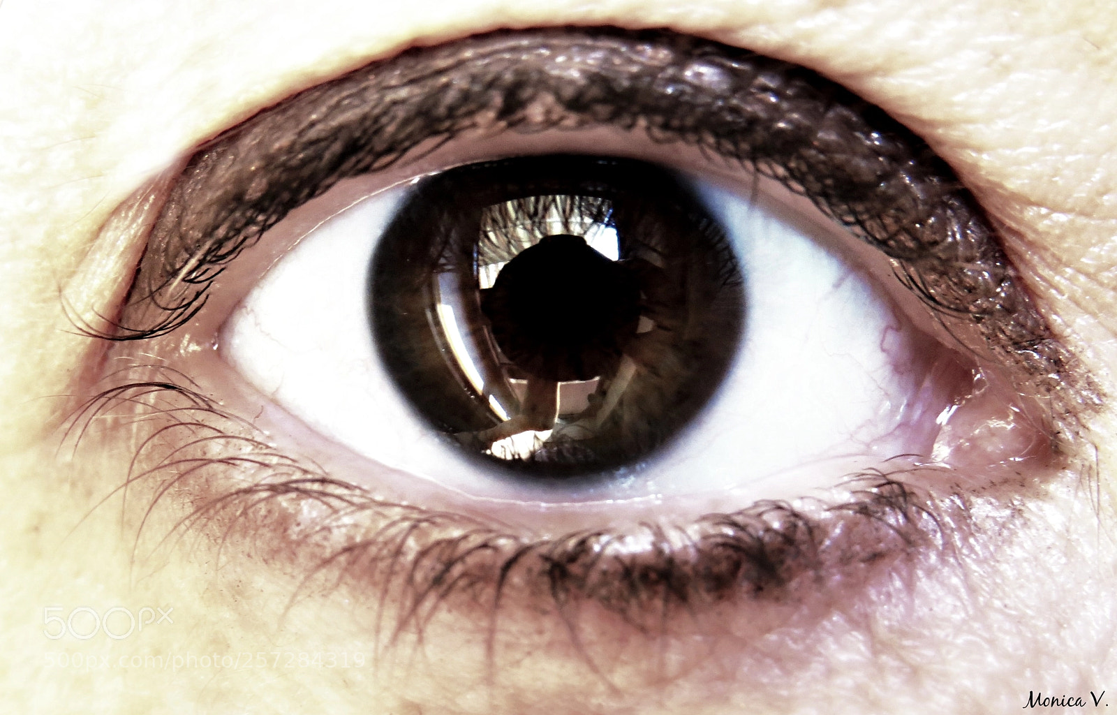 Canon PowerShot SX50 HS sample photo. Occhio photography