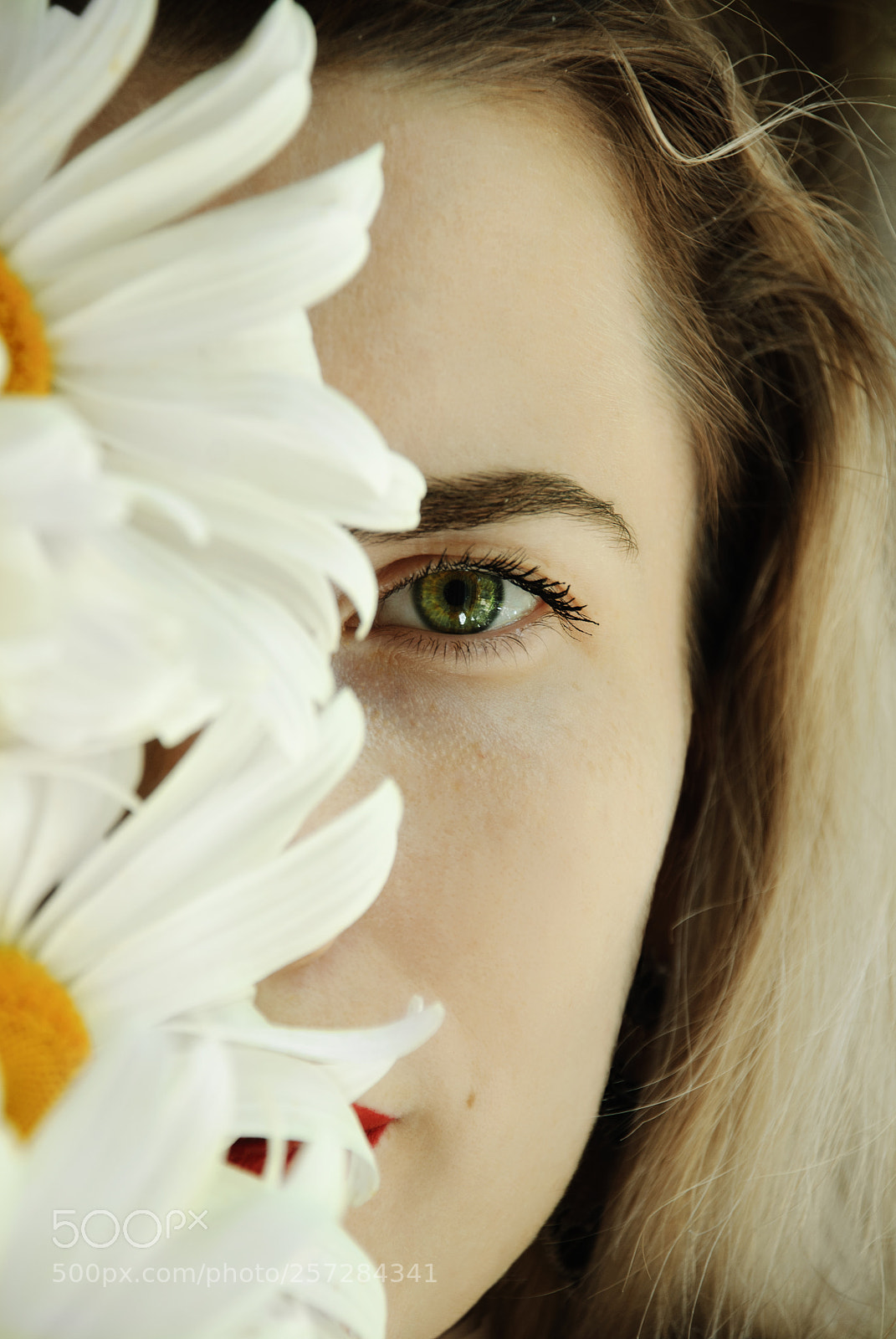 Nikon D80 sample photo. Untitled photography
