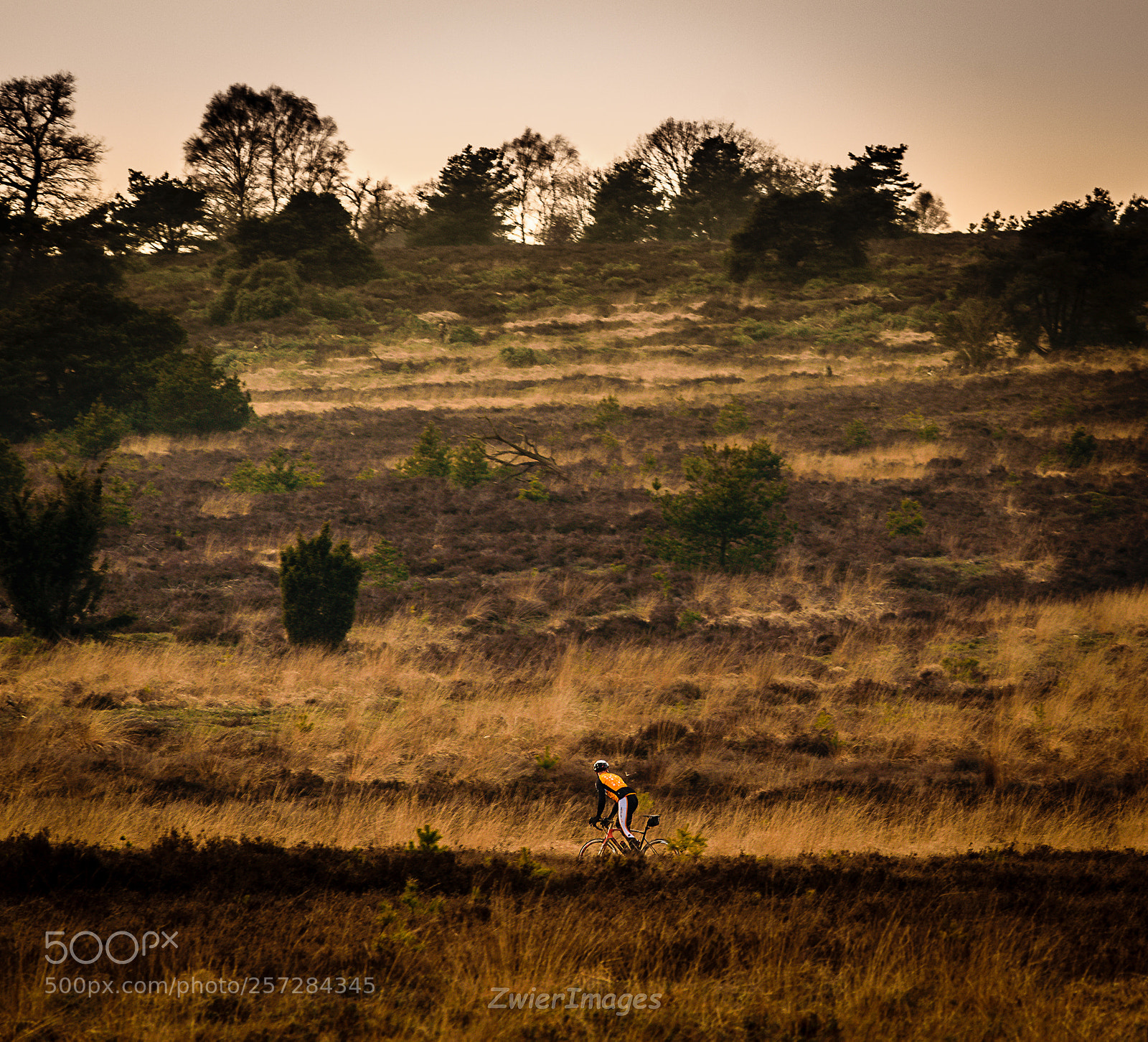 Nikon D3300 sample photo. The lonely cyclist photography