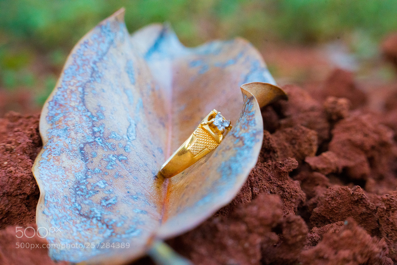 Sony a7R II sample photo. Aefee photography