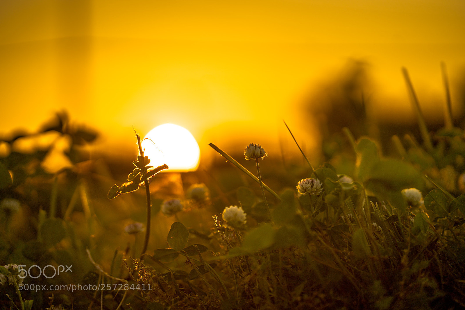Sony a7R II sample photo. Dbcec ae c ad photography