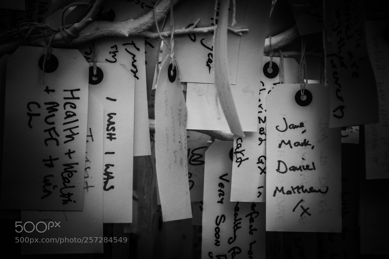 Canon EOS 600D (Rebel EOS T3i / EOS Kiss X5) sample photo. Tree of wishes photography