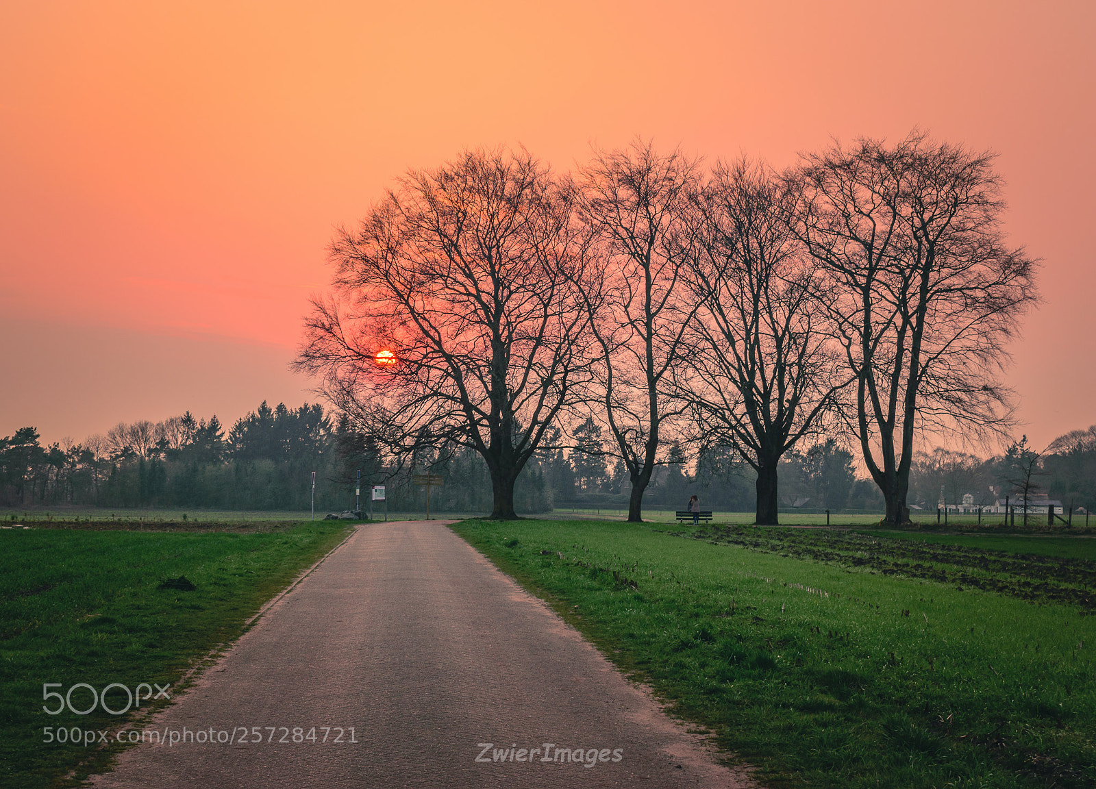 Nikon D3300 sample photo. Sunset 10 april photography