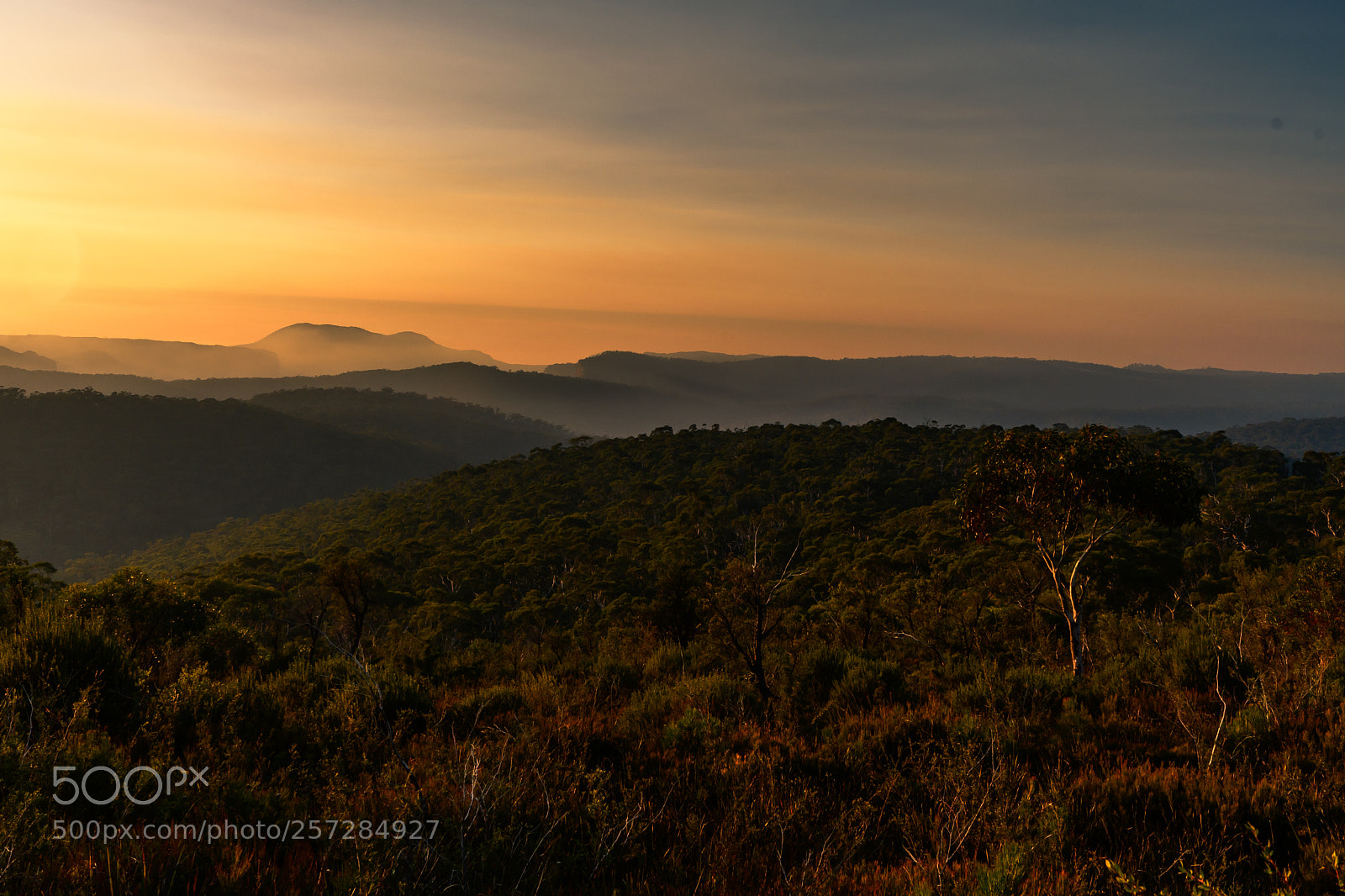 Nikon D7500 sample photo. Looking east photography