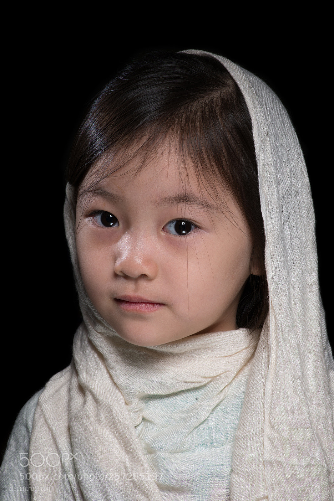 Nikon D610 sample photo. No title photography