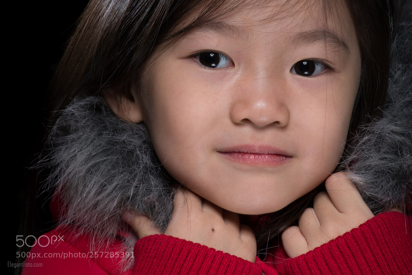 Nikon D610 sample photo. In red photography