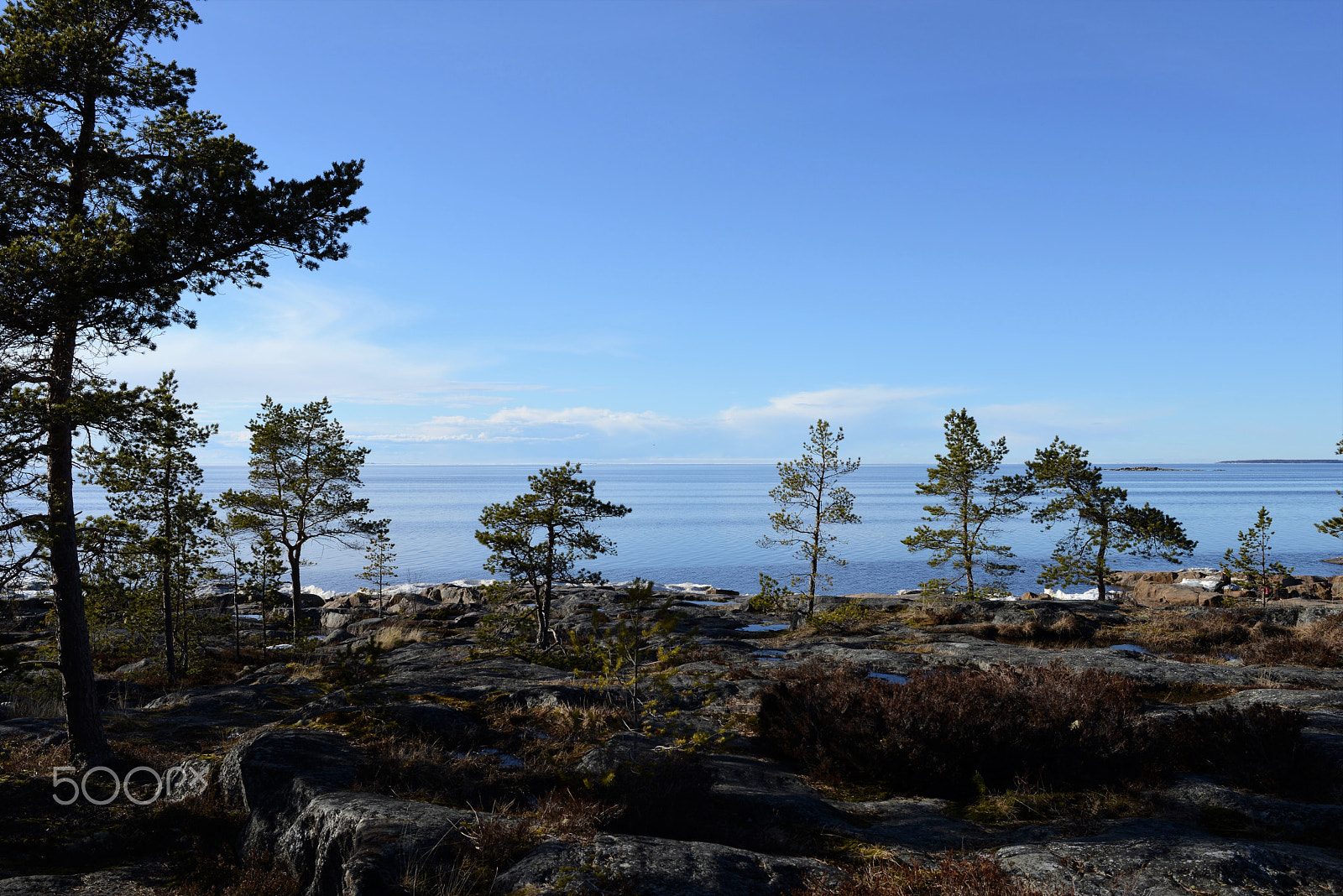 Nikon D800 + Nikon AF-S Nikkor 28mm F1.8G sample photo. Short vegetation by the coast photography