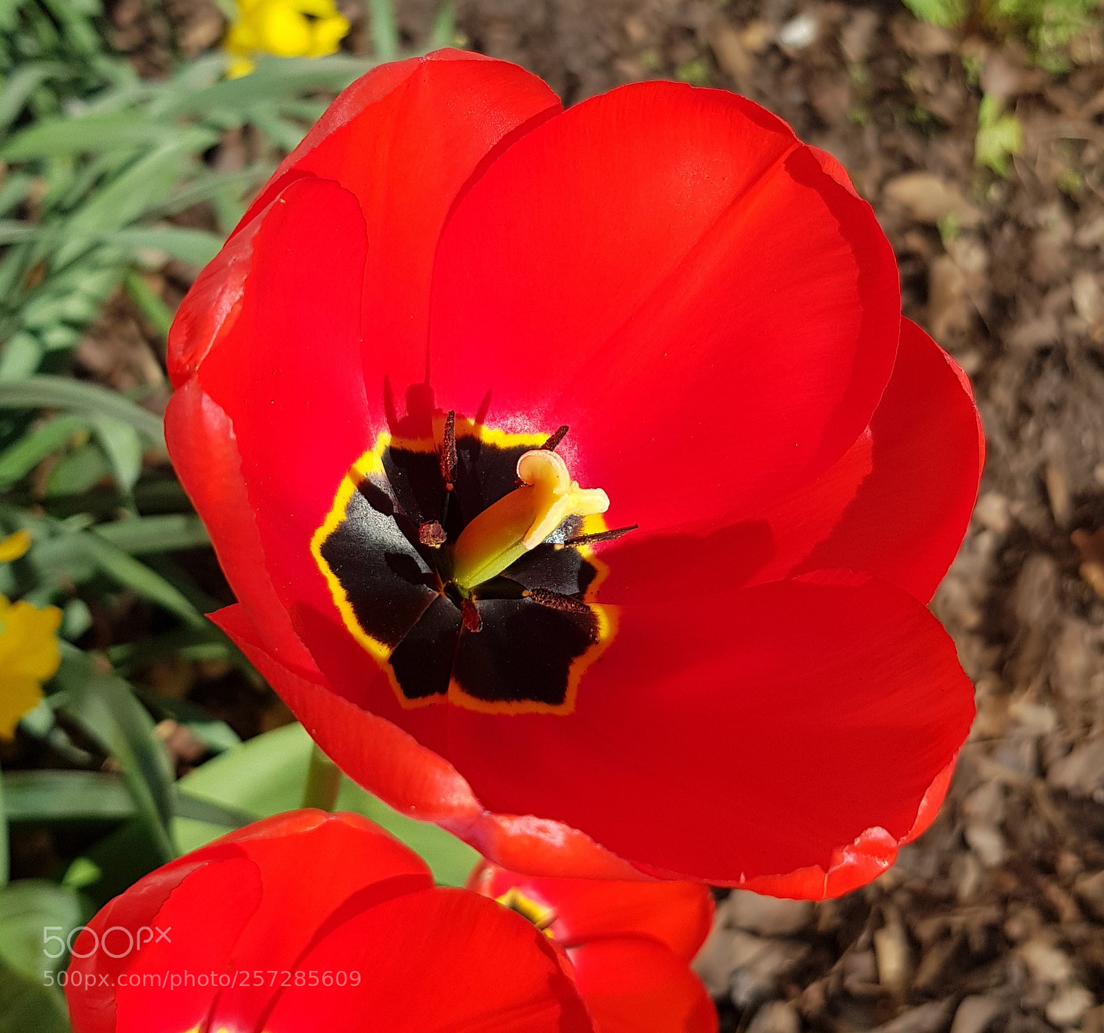 Samsung Galaxy S8 sample photo. Untitled photography