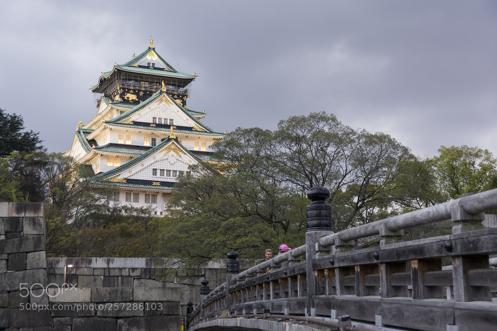 Nikon D7100 sample photo. Osaka castle photography