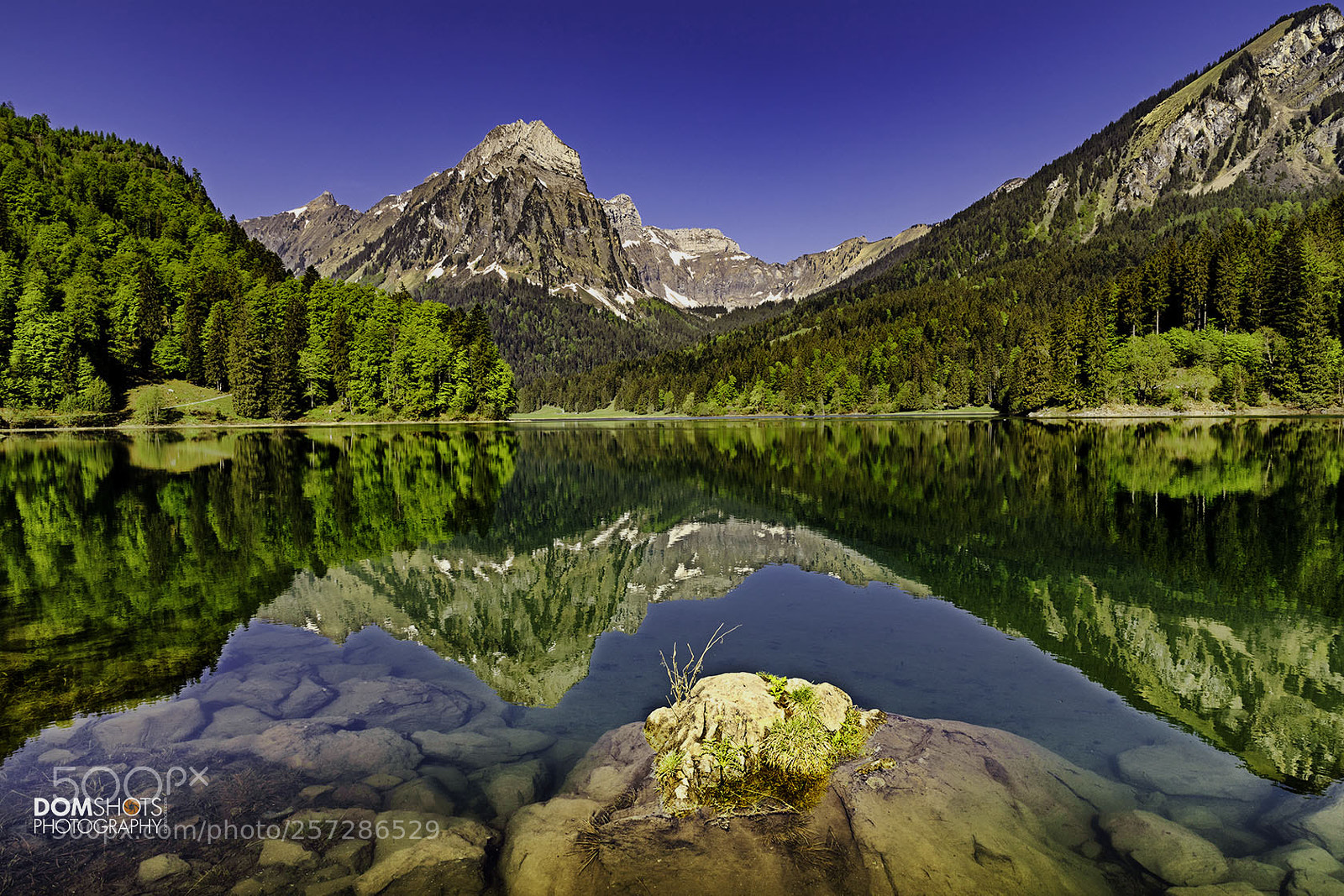 Canon EOS 5D Mark IV sample photo. Obersee by day photography