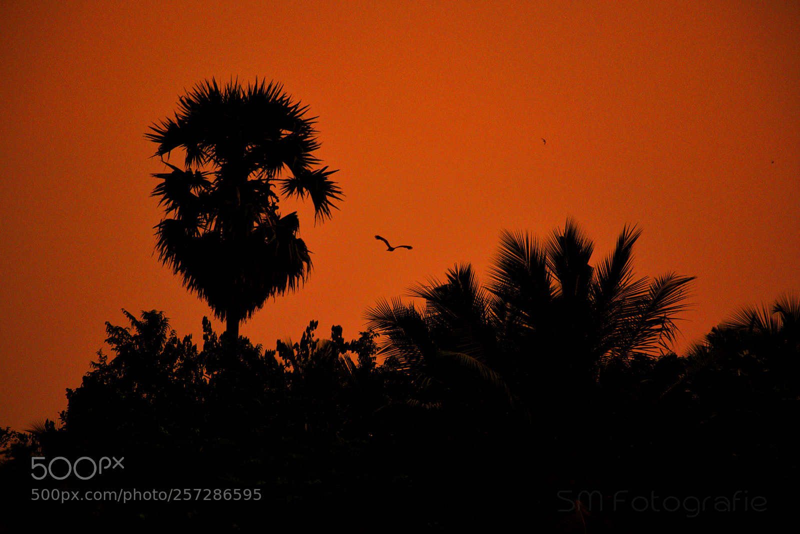 Nikon D750 sample photo. I love nature photography